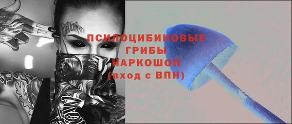 амф Алексеевка