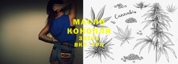 сатива Осинники